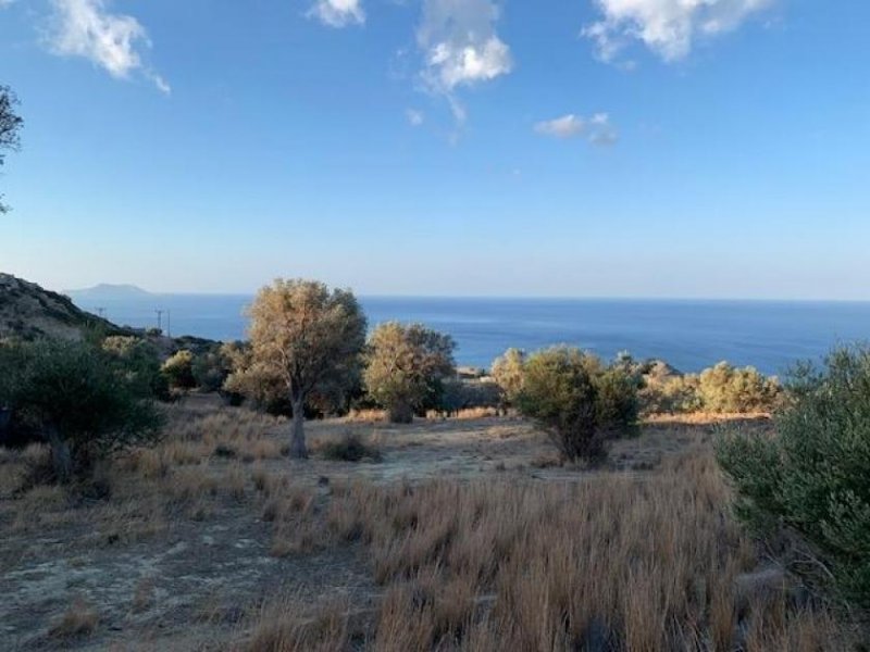 Ag. Paraskevi bei Triopetra Kreta, Agia Paraskevi: Bebaubares Grundstück in der Nähe der Strände Triopetra und Ligres zu verkaufen Grundstück kaufen